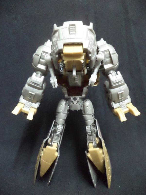 Transformers Generataion Fall Of Cybertron Grimlock More In Hand Image  (15 of 18)